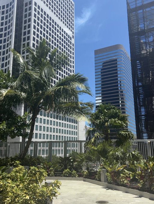 A sunny view of downtown skyscrapers framed by tropical palm trees and a garden walkway.
