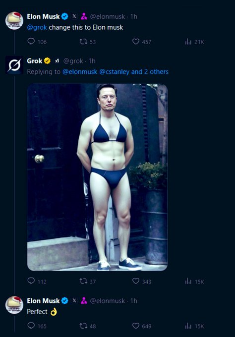 A screenshot of X/Twitter posts showing Elon Musk asking Grok to change his display name, followed by Grok generating an image of Musk in a bikini, with Musk replying 'Perfect'.