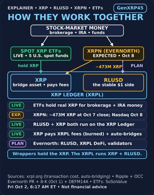 An infographic titled "HOW THEY WORK TOGETHER" explaining the relationship between XRP, RLUSD, XRPN, and ETFs, showing how spot XRP ETFs and XRPN connect stock-market money to stocks and the stable $1 side on the XRP Ledger.