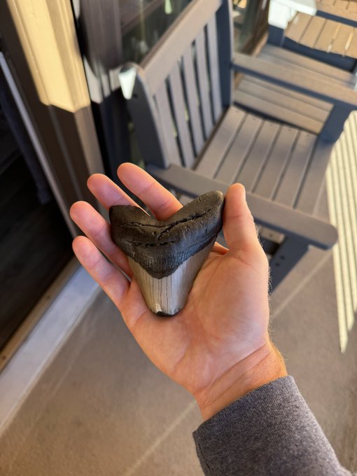A hand holding what appears to be a large fossilized shark tooth outdoors on what looks like a porch or deck area.