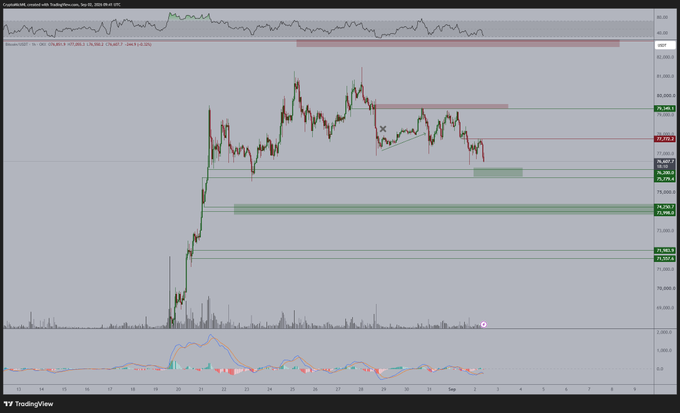 A TradingView candlestick chart for CryptoNVDA on Coinbase shows the price at 80.290, up 5.46%, with various technical indicators and horizontal support/resistance levels.