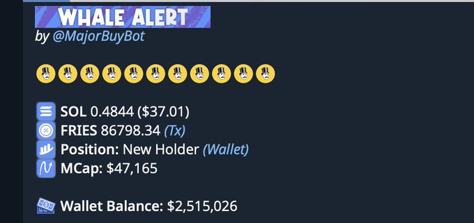 A digital 'WHALE ALERT' notification from @MajorBuyBot showing emoji graphics and details including 'SOL 0.4844 ($37.01)', 'FRIES 86798.34 (Tx)', 'Position: New Holder (Wallet)', 'MCap: $47,165', and 'Wallet Balance: $2,515,026'.