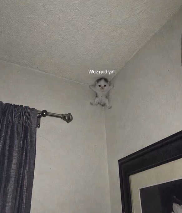 None