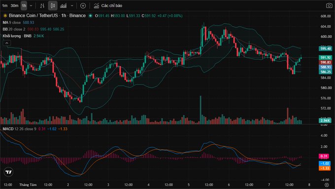 A TradingView chart of Binance Coin/TetherUS (BNB/USDT) on the 1-hour timeframe showing price around $591 with Bollinger Bands and MACD indicators.