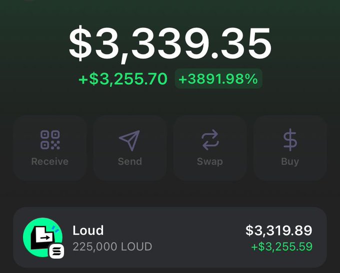 A cryptocurrency portfolio screen showing a balance of $3,339.35, with a gain of +$3,255.70 (+3891.98%), holding 225,000 LOUD tokens valued at $3,319.89.