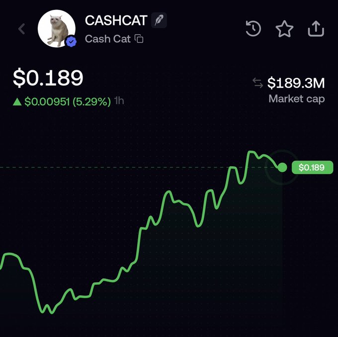 A crypto chart for $CASHCAT (Cash Cat) shows the token trading at $0.189 with a market cap of $189.3M, up 5.29% ($0.000951) over the past hour. The accompanying post illustrates the token's volatile price action, showing a series of dramatic market cap swings between 9M and 225M, with the chart capturing one of its recovery rallies.