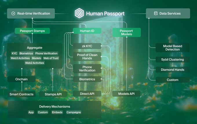 A flowchart titled 'Human Passport' showing a system architecture with components like Real-time Verification, Data Services, Passport Stamps, Human ID, and Passport Models, connected to APIs and delivery mechanisms including Onchain, Smart Contracts, Stamps API, Direct API, and Models API.