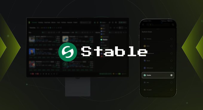 A promotional image for 'Stable' showing the app interface on a desktop and mobile phone with a green logo.