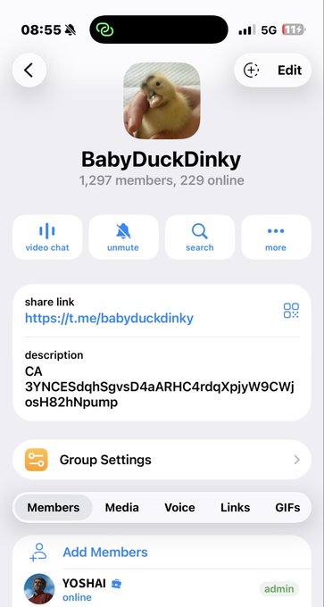 A screenshot of the Telegram group "BabyDuckDinky" showing 1,297 members (229 online), with a share link (https://t.me/babyduckdinky) and a CA description, supporting the post's claim of growing the project's Telegram community to 1.2K+ members.