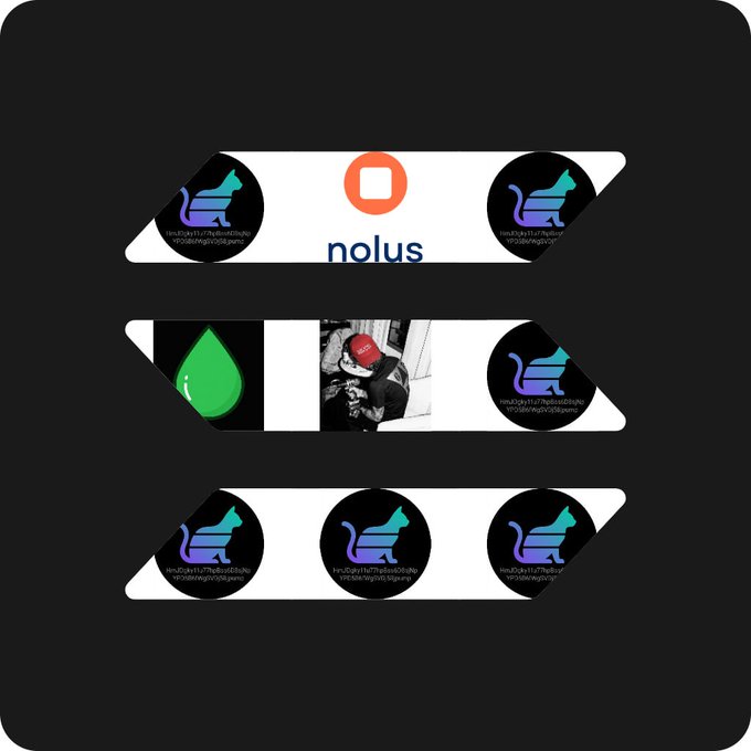 Three rows of 'nolus' branded graphics featuring green liquid drops, cat logos, and wallet addresses, with a central image of a person wearing a red beanie.