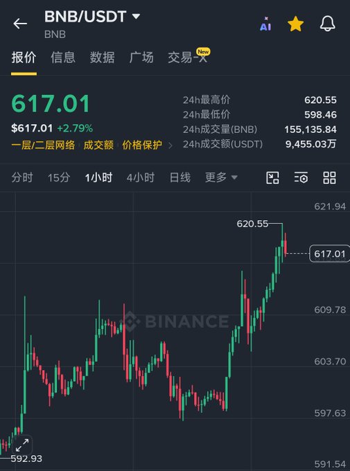 Binance trading chart showing the BNB/USDT pair at $617.01 (+2.79%) on a 1-hour timeframe, with a recent high of $620.55 and 24-hour volume of 155,135.84 BNB.