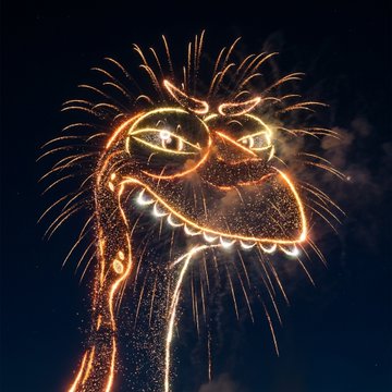 A night photograph of fireworks arranged to form the shape of a giraffe's head and neck.