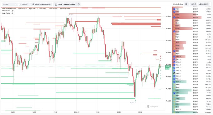 A TradingView BTC chart showing a whale order analysis with a list of large limit orders on the right side and price action displayed as red and green candles.