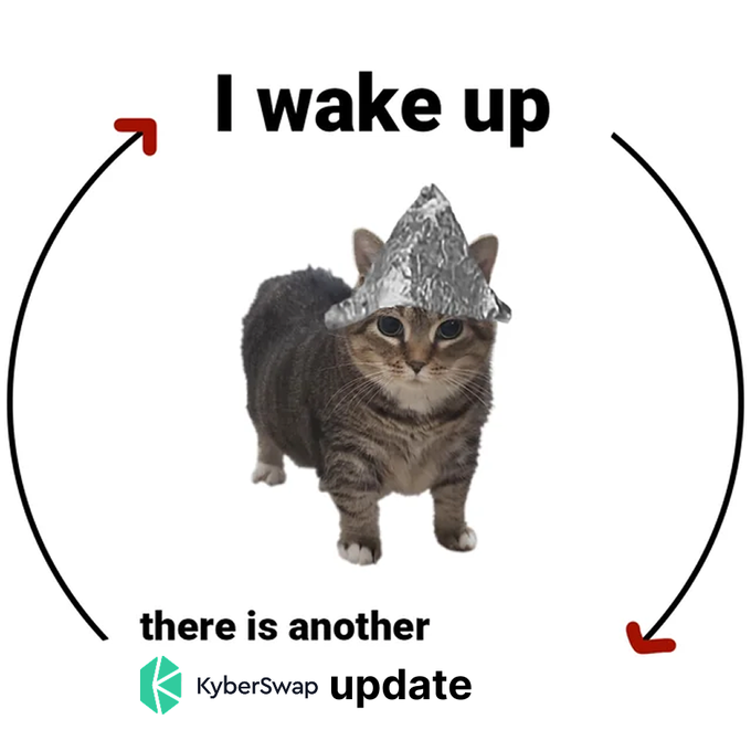 A cat wearing a tinfoil hat is circled by arrows, with text reading "I wake up" at the top and "there is another KyberSwap update" at the bottom, humorously capturing the feeling of being inundated with frequent KyberSwap news in anticipation of their Q3 product launches and major upgrades.
