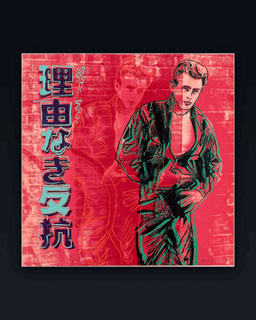 A red-toned pop-art style image of James Dean in a leather jacket with Japanese text (理由なき反抗) overlaid on the left side, framed in black.