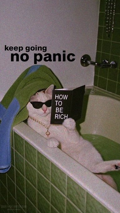 The image features a white cat sitting inside of a bathtub, wearing sunglasses and holding a book titled "How To Be Rich" while laying down with its paws up. The caption reads "Keep going no panic", which suggests that the cat is trying to convey a message about perseverance or not giving up in the face of challenges.