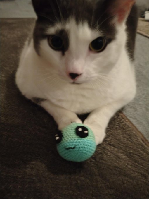 A black and white cat with striking eyes lies on a carpet, gently holding a small teal crocheted ball with an embroidered face between its paws.