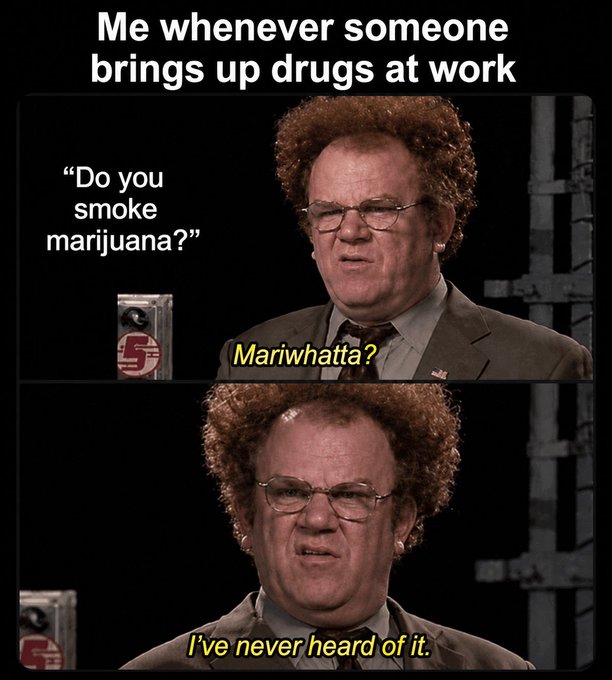 A two-panel meme featuring a man in a suit and glasses with curly hair, captioned 'Me whenever someone brings up drugs at work.' The top panel shows him responding 'Mariwhatta?' to the question 'Do you smoke marijuana?', and the bottom panel shows him saying 'I've never heard of it.'