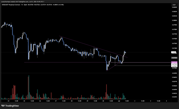 The image is a TradingView 1-hour candlestick chart of DOGE/USDT Perpetual Contract on Bybit, showing a descending triangle pattern with a horizontal support around $0.07312 and a downward-sloping resistance line, illustrating the lows being swept for the long entry mentioned. The current price sits at 0.07328, just above the key support zone.
