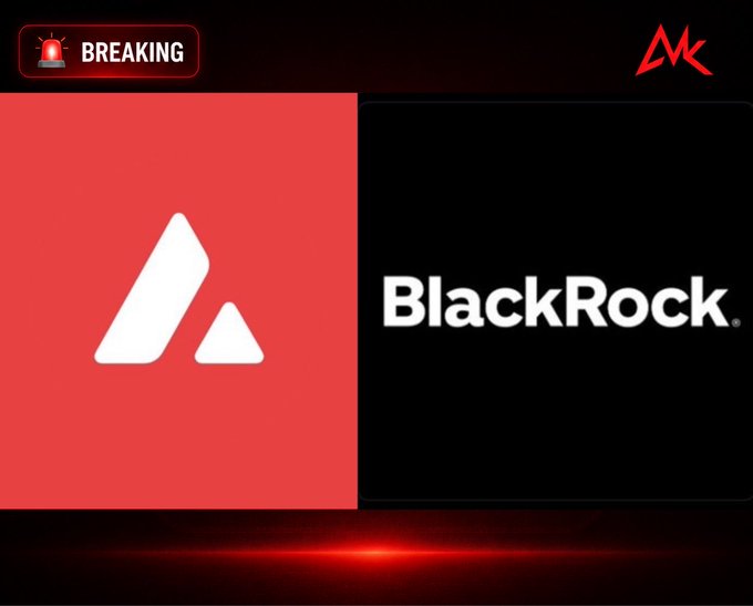 A breaking news graphic featuring the red Avantis logo on the left and the white 'BlackRock' logo on the right, with a 'BREAKING' alert and a red 'AK' watermark in the top right.