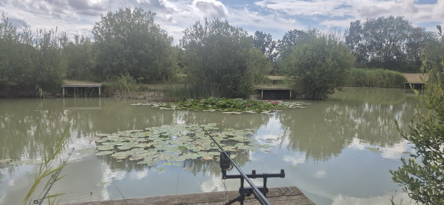 A peaceful fishing scene by a pond with lily pads, wooden platforms, and a fishing rod set up on the shore.