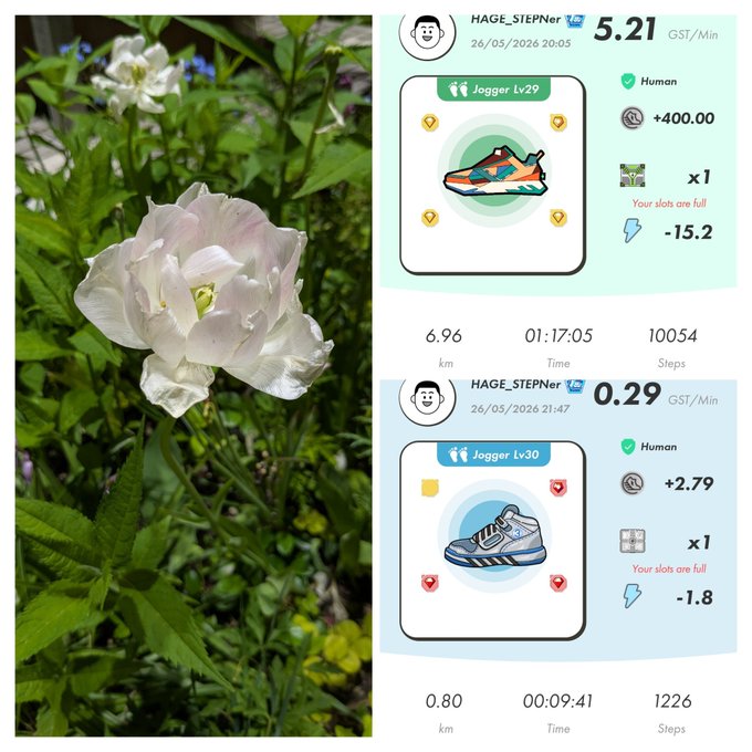 The image shows two different pictures of a white flower, with one picture being a close-up view of the flower's petals and the other showing the entire flower. The text "HATE Stepn Activation Code" appears in the image as well. This could be related to the post about fitness tracking or an advertisement for a product that uses the flower as its main visual element, such as a fitness app or a brand promoting their product.