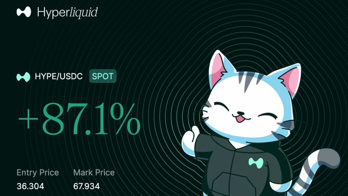 The image shows a cartoon cat, wearing a black hoodie with white paws and green eyes, standing upright and holding its paw up in the air while smiling. The image also contains text that reads "Hyperliquid" at the top, an advertisement for the cryptocurrency coin Hyper Liquid itself, and the post states "When should I take profits on Hyperliquid? I can' afford to round trip or miss $100. Pls only smart quants reply." This refers to a question about how much someone should ideally invest in Hyper liquid to maximize their profits. The image does not provide direct information about this question, but it is related to the post's content and could be a part of an advertisement campaign promoting the coin.