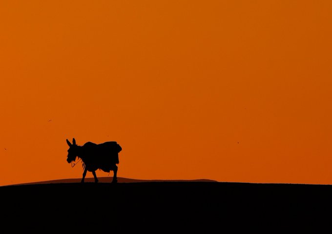 A silhouette of a donkey carrying a load walks across a dark horizon against a vivid orange sunset sky.