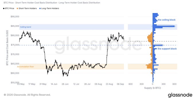 A Glassnode chart titled 'BTC Price - Short-Term Holder Cost Basis Distribution - Long-Term Holder Cost Basis Distribution' showing price trends from May to September with annotated zones like 'Ceiling band,' 'the ceiling block,' 'the support block,' and 'Accumulation floor.'
