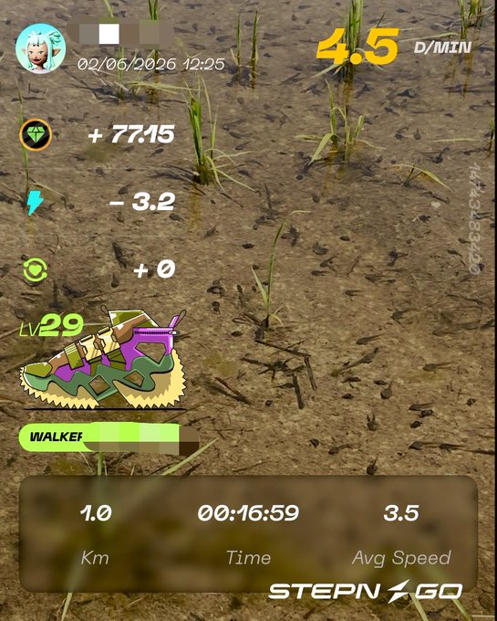 The image shows a fitness tracking app with a screen displaying information about a walker's progress, including their speed and distance traveled. The app also provides an overview of the user's performance over time.