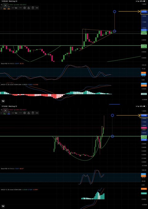 A trading chart interface showing candlestick patterns and technical indicators (Stoch RSI, MACD) for the ticker 'SLAM' with price levels marked around 1.0000 and various support/resistance zones.