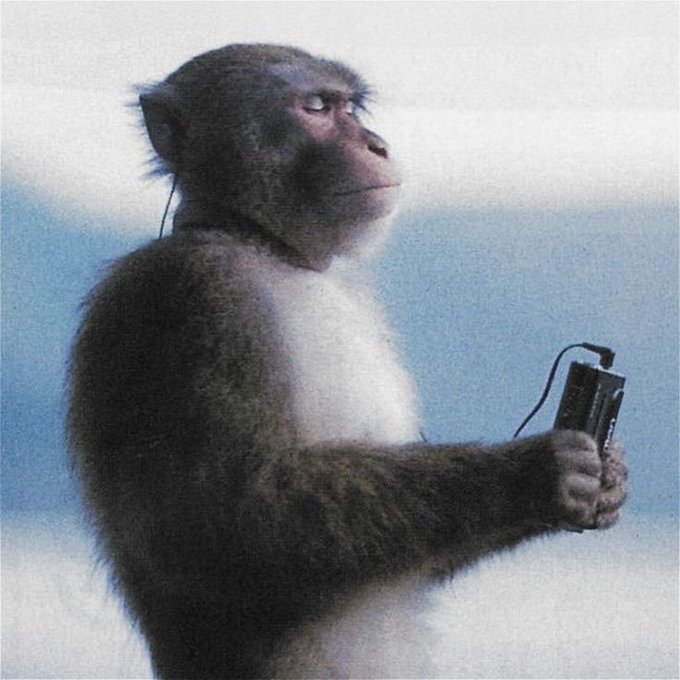 A photograph of a monkey holding a wired electronic device, possibly a camera or audio recorder, with its eyes nearly closed against a blurred light blue background.