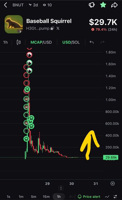 A cryptocurrency chart showing the BNUT/Baseball Squirrel token with a price of $29.7K and a 79.4% drop in 24h, displaying buy and sell transactions along with a candlestick price chart on pump.fun.