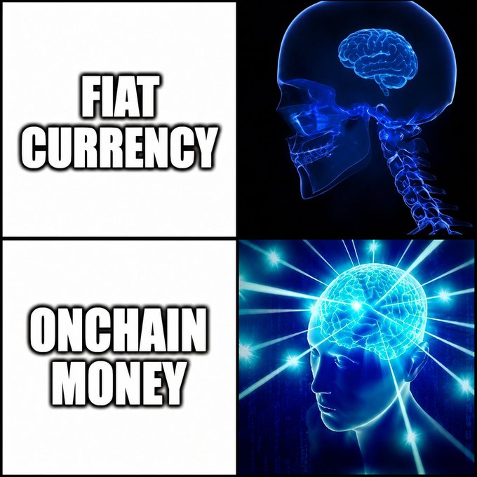 A two-panel meme comparing "FIAT CURRENCY" (top, with a dim blue skull x-ray) to "ONCHAIN MONEY" (bottom, with a glowing, energized blue brain).