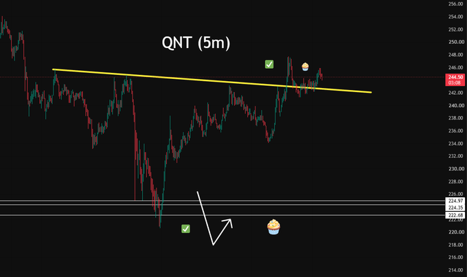 A 5-minute candlestick chart of the ticker 'QNT' shows price action around the 244.50 level, with a downward trendline and emoji annotations marking entries and exits.