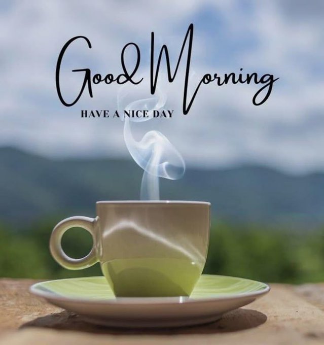 The image features a cup of coffee sitting on top of a white plate, which is placed on a wooden table. The background of the image shows a beautiful view of mountains under a blue sky with clouds. The caption below the image reads "Good Morning" followed by "Have a nice day".