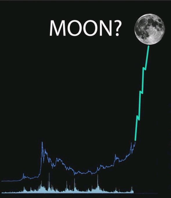 A graph with a dramatic upward spike at the end is labeled 'MOON?' with an image of the full moon placed at the top of the spike, set against a black background.