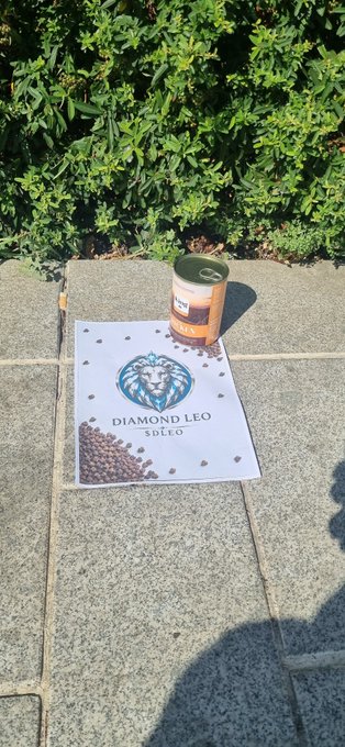 A can of cat food sits on a stone walkway atop a flyer reading "DIAMOND LEO $DLEO," with the brand's lion logo and kibble graphics printed on it, visually demonstrating the project's stated social utility of feeding local cats as part of its community-focused mission.