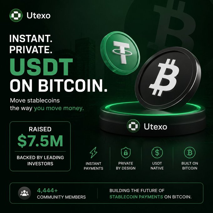 The image features a poster for a stablecoin project called "Instant Private Stablecoins" that aims to provide instant payments using Bitcoin as the underlying currency. The poster includes a green Bitcoin coin, a black Bitcoin coin, and a white Bitcoin coin on a black baseplate. It also displays text about the project's goals and how it is backed by major investors.