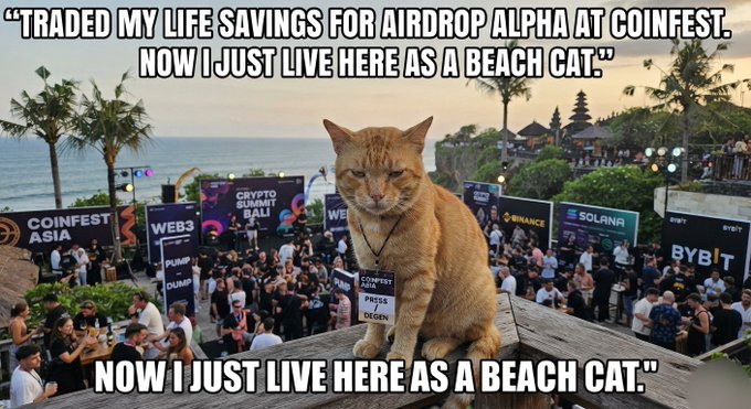 A humorous meme showing an orange tabby cat wearing a press badge at CoinFest Asia, with text reading: 'TRADED MY LIFE SAVINGS FOR AIRDROP ALPHA AT COINFEST. NOW I JUST LIVE HERE AS A BEACH CAT.' Visible sponsor banners include Binance, Solana, Bybit, and Web3.