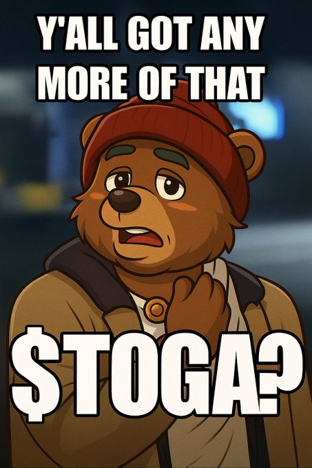 A meme featuring a cartoon bear character wearing a red beanie and brown jacket, with text reading 'Y'ALL GOT ANY MORE OF THAT' at the top and '$TOGA?' at the bottom.