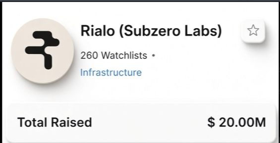 A digital profile card displaying the logo and name "Rialo (Subzero Labs)", listing it under the "Infrastructure" category with "260 Watchlists" and a "Total Raised" amount of "$ 20.00M".