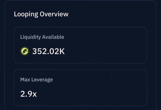 A dark dashboard interface titled 'Looping Overview' shows two metric cards: 'Liquidity Available' at '352.02K' and 'Max Leverage' at '2.9x'.
