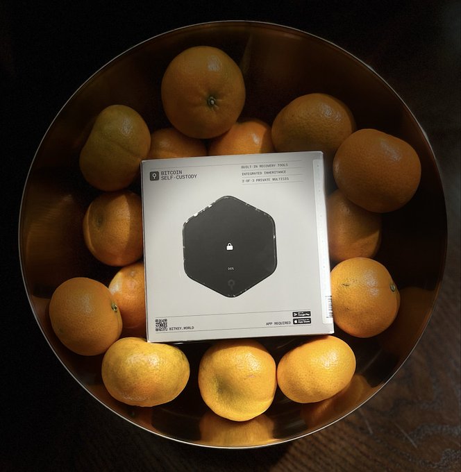 A photograph of oranges arranged in a circular metal bowl with a Bitcoin 'SELF-CUSTODY' hardware wallet box placed in the center.