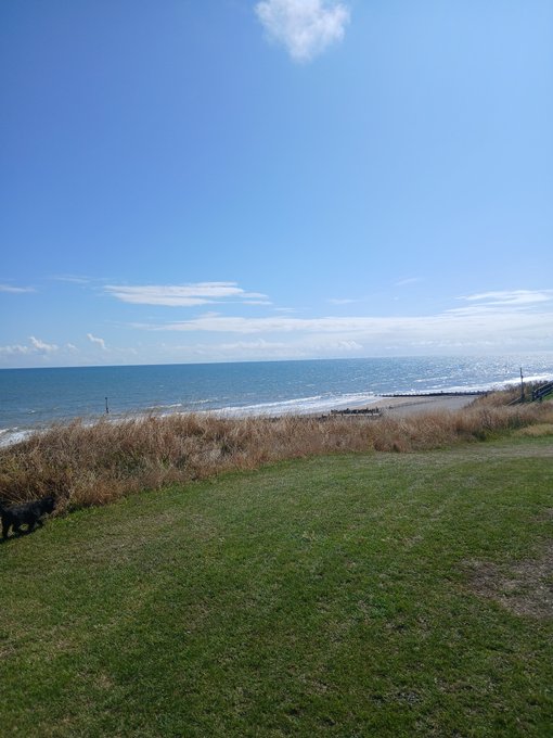 A scenic view from a grassy coastal bluff overlooking a blue ocean and sandy beach under a partly cloudy sky, with a small black dog visible on the grass in the lower left.