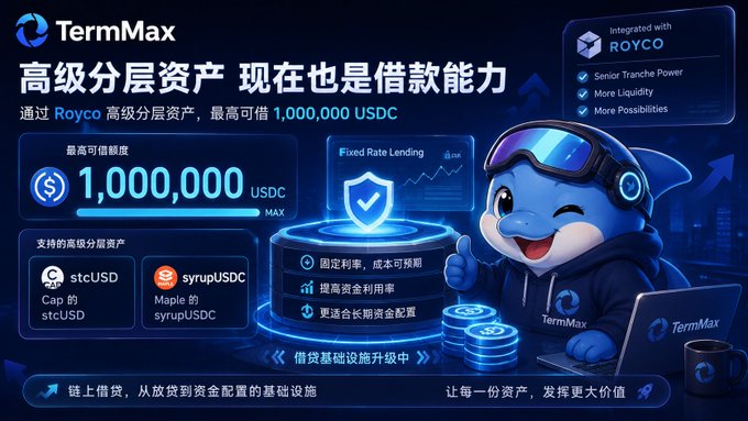 Promotional graphic for TermMax featuring a cartoon dolphin mascot, advertising integration with ROYCO senior tranche power and up to 1,000,000 USDC borrowing capacity with stcUSD and syrupUSDC support.
