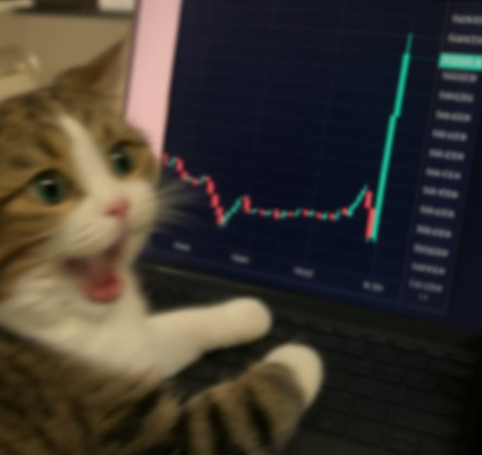 A viral meme image showing a wide-eyed cat with an excited expression in front of a computer screen displaying a cryptocurrency price chart with a sharp green upward spike.