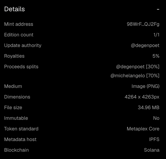 An NFT metadata details panel on a dark theme showing a 1/1 edition minted on Solana blockchain, created by @degenpoet and @michelangelo, as a 4264 x 4263px PNG image.