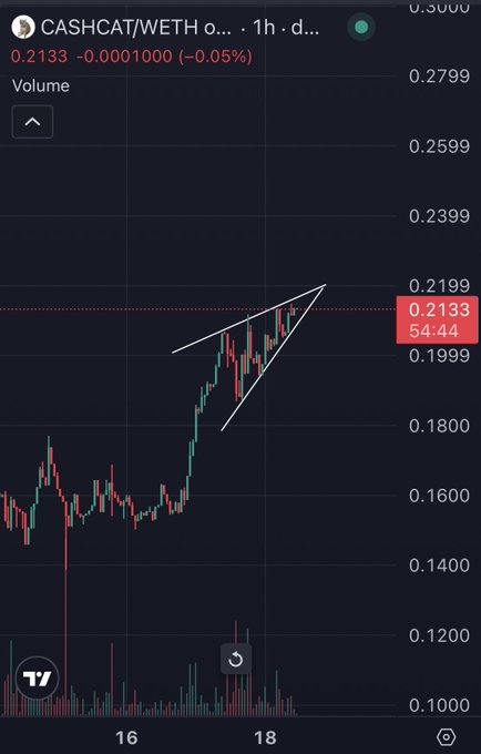 A 1-hour candlestick chart of CASHCAT/WETH shows a clear ascending wedge pattern forming, with the price tightening between converging trendlines and currently trading at 0.2133 (−0.05%), marked by a red highlighted level at 0.2199 acting as resistance, supporting the post's claim that the token is "running out of room" for a "big move" as it coils near the wedge's apex.