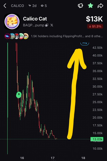 A cryptocurrency chart for 'Calico Cat' (ticker shown as 'CALICO') showing a price of $13K with a significant 51.3% drop, featuring a large yellow arrow pointing upward.